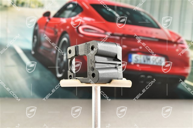 Halter, Rückfahrkamerasystem