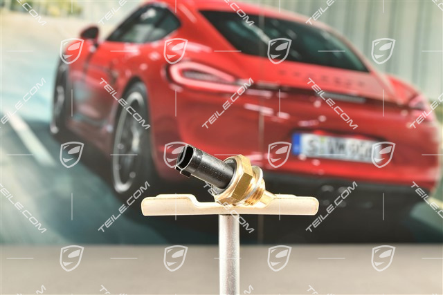 4,8L / 3,6L T, Czujnik temperatury cieczy chłodzącej