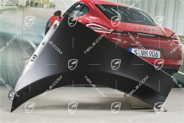 Wing, front, L