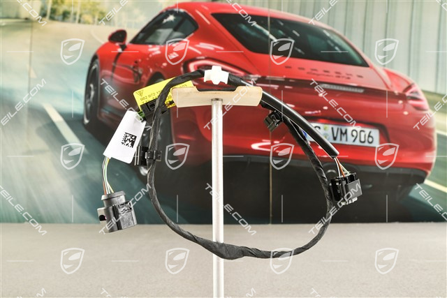 Kabelstrang, vordere Verkleidung (Stoßstange) Spyder, L
