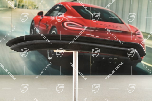 Rear spoiler, gasket, L