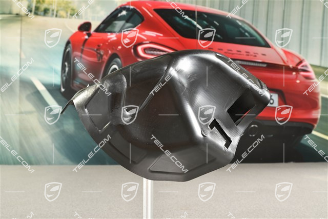 Brake air deflector, R