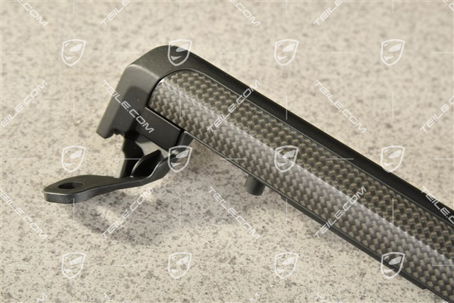 Türverkleidung Zierleiste, Carbon, R