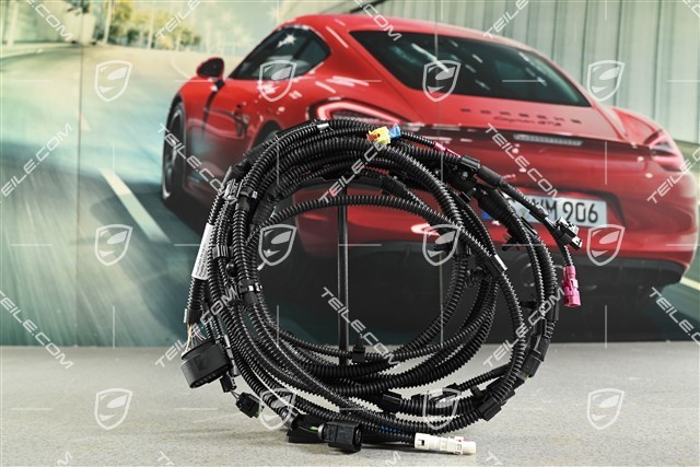 Cable wiring / loom for front bumper, L