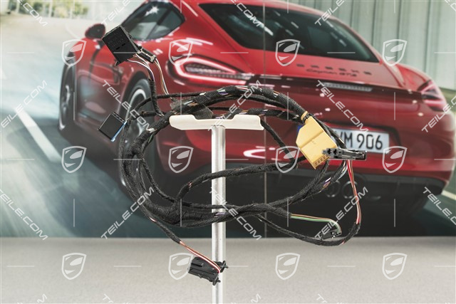 Wiring harness, rear door, L=R