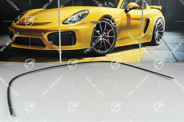 Moulding, rear window, Targa