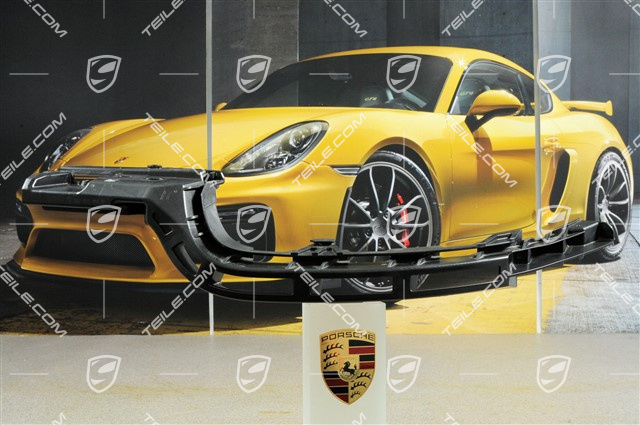 Halteleiste, C4 / C4S / GT3, R Halteleiste, C4 / C4S / GT3, R