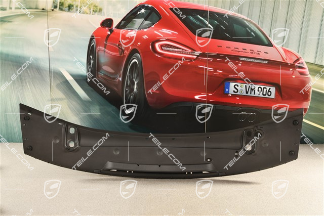 C4 / C4S / 911R, Spoiler, lower part