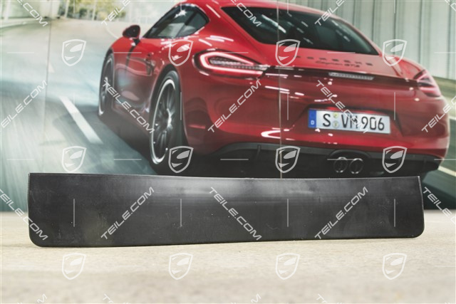 Gummileiste von vorderer Radhausschale, GT3 RS, L