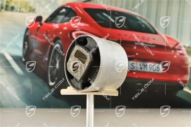 3,0 TDI / GTS / Turbo, Front axle / drive differential mounting, rear