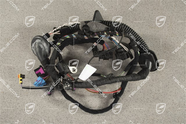 Kabelstrang / Kabelbaum, Fahrertür, Bose , PDK, LHD