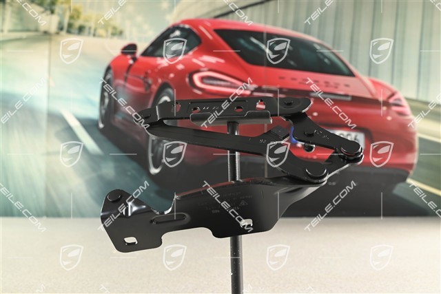 Coupe / GT3, Rear boot lid, engine lid, hinge, L