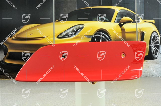 GT3 RS plate for wing, 2004 model, L