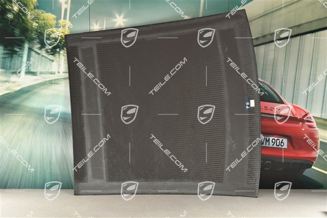 Outer roof panel, carbon