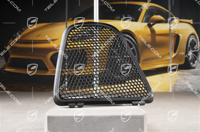 Wind deflector, R