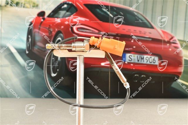 3,0 TDI, Exhaust gas temperature sensor