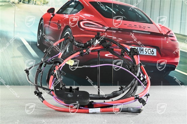Battery wiring harness
