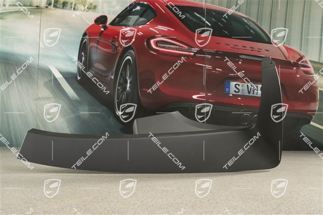 Targa, Verdeckkasten Verkleidung, Schwarz, R