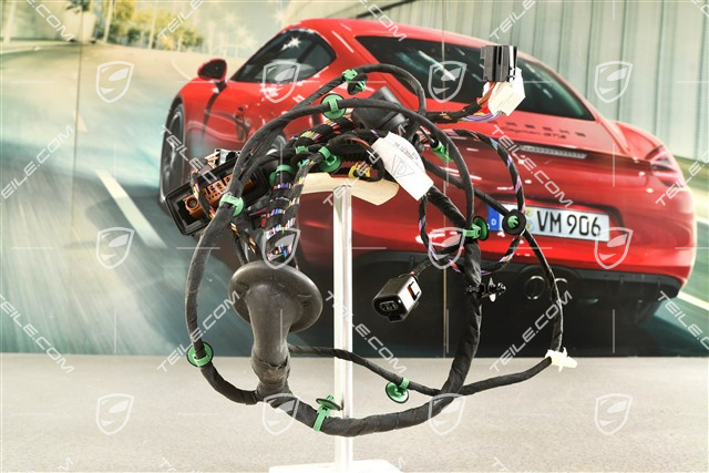 Wiring harness driver's side / Bose soundpackage