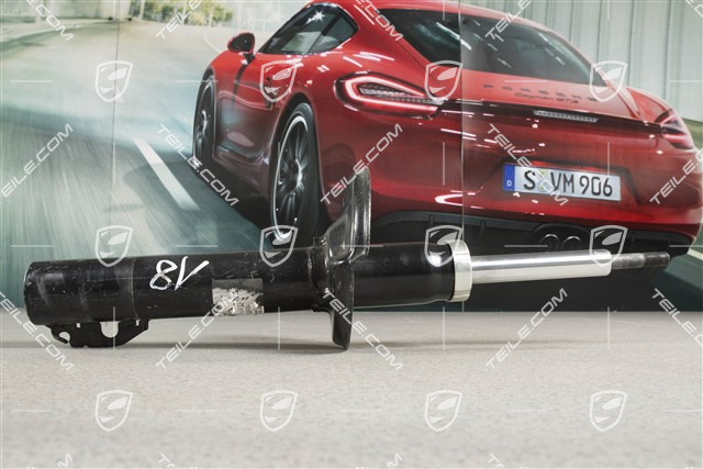 Stossdämpfer,  Spyder, L=R