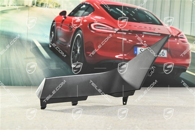 Front bumper Cover trim, Black, R