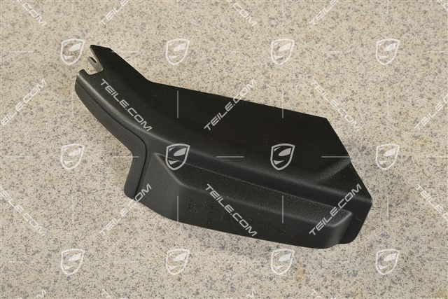 Tail light trim, R