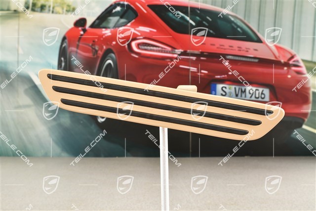 Einstiegleiste Blende, hinten, Luxorbeige, R