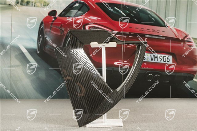 21 cali Taycan Exclusive Design blenda / kołpak carbon, przedni, L