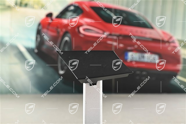 Einsatz, Griffschale, Schwarz, R
