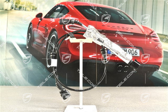 Leitungsstrang / Kabelstrang für ABS, GT3