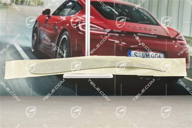 Adhesive film, Wing plate for rear spoiler, GT4, L