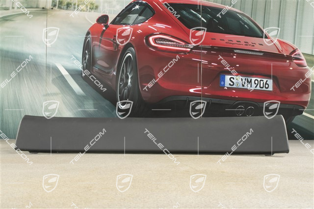 Verkleidung, Rückwand, coupé, Leder, Schwarz