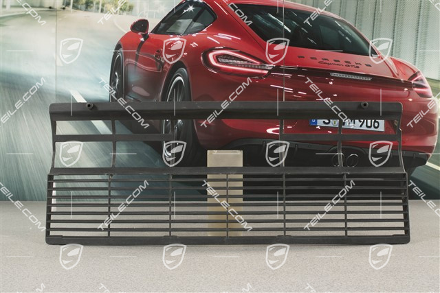 Air inlet grille, lower part, Black