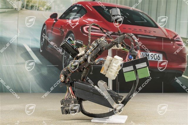 C4 / C4S, Wiring harness, PSM