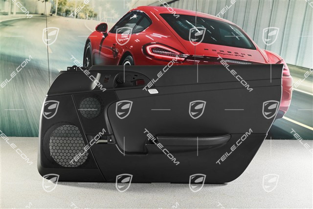 Türverkleidung, Cayman R, R