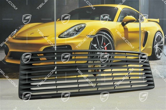 Rear spoiler grille, C2 / C4 / 4S / Targa / RS / RS Clubsport Rear spoiler grille, C2 / C4 / 4S / Targa / RS / RS Clubsport