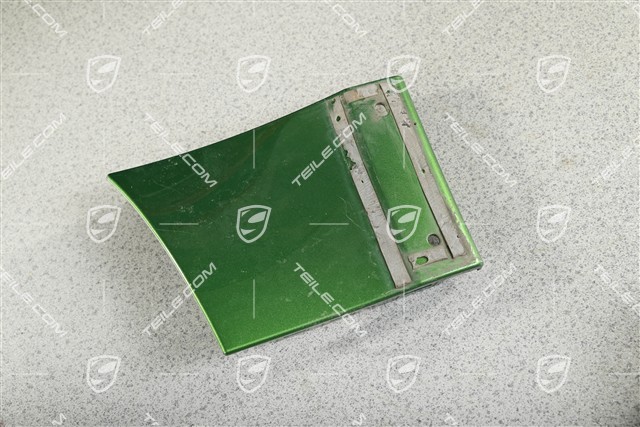Front Wing / Fender cover / moulding, L