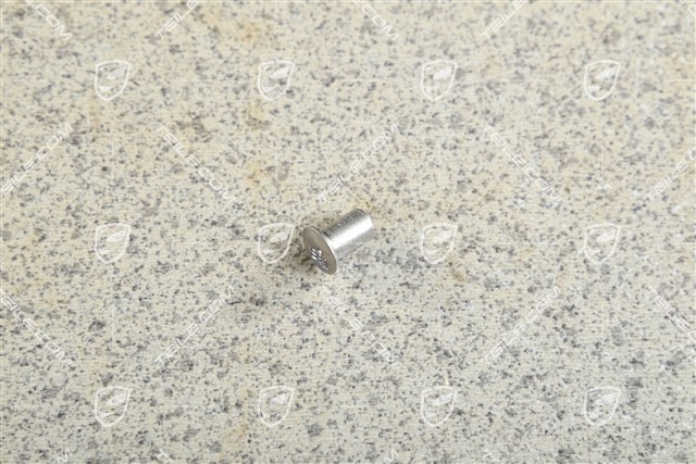 Rivet Rivet