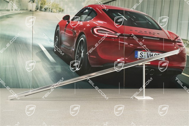 Listwa ozdobna z uszczelką, pakiet aluminium, drzwi przednie, L