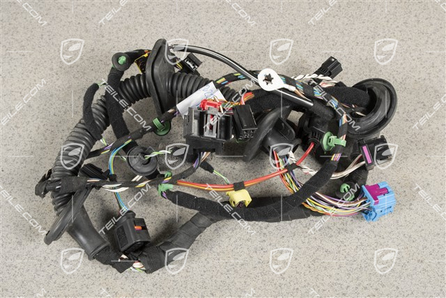 Wiring harness, Assembly frame, driver's door, Spyder, L