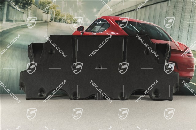 Abdeckung hinten, Turbo Cabrio/GT2 RS