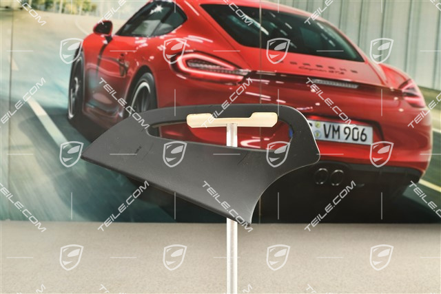 Sicherheitsgurt Abdeckung / Rosette, Lackiert, Schwarz, hinten, Coupe, L