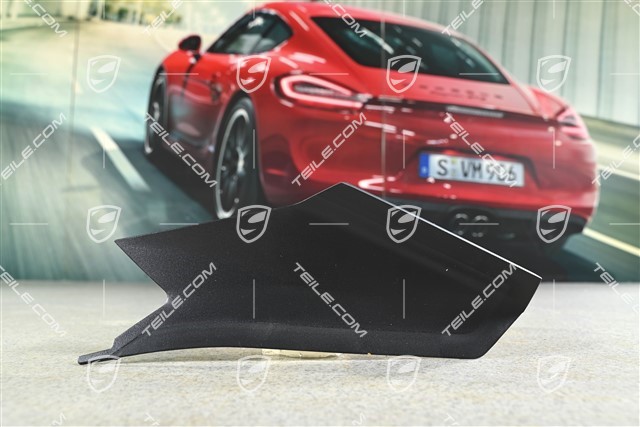 Rear light cover, R