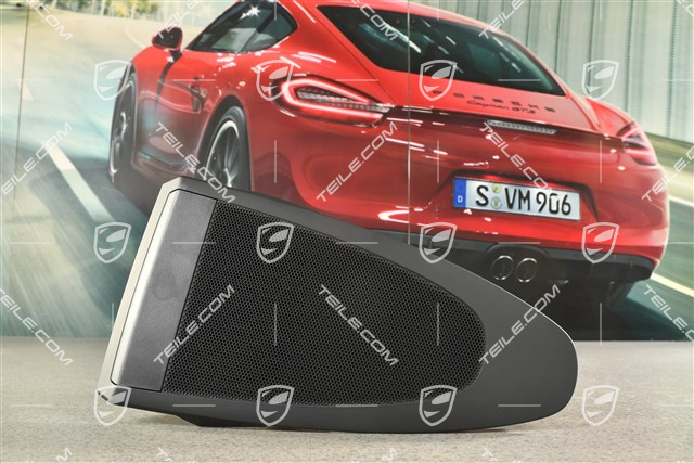 Dashboard centre cover (speaker), Black
