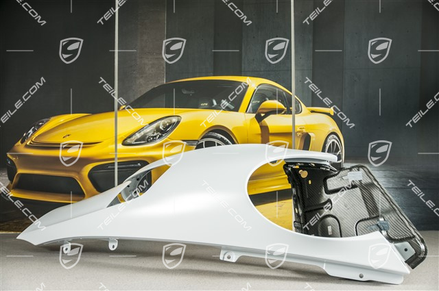 Fender, GT3RS II / GT2RS, Carbon, L