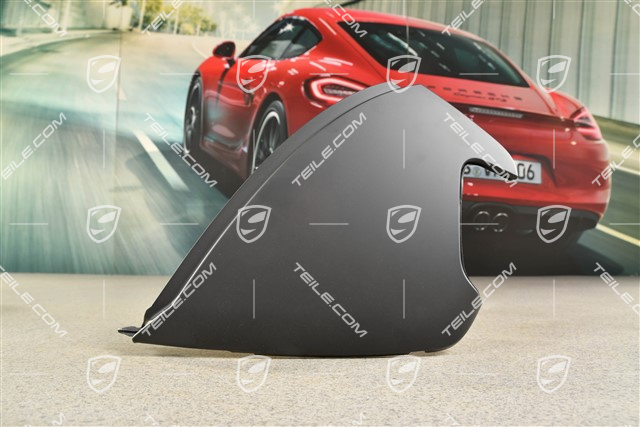 Dashboard trim side cover, Black, L