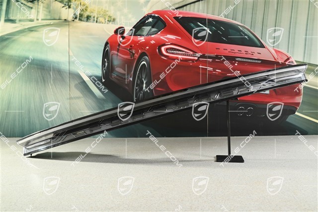 Rear light /  light panel, darkened / black, centre