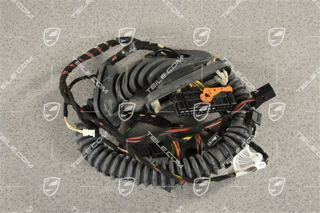 Wiring harness passenger's door assembly frame / sound package 1