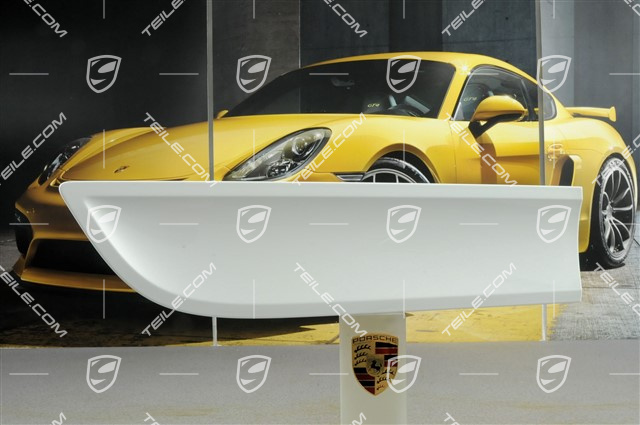 Door cover, rear, R Door cover, rear, R