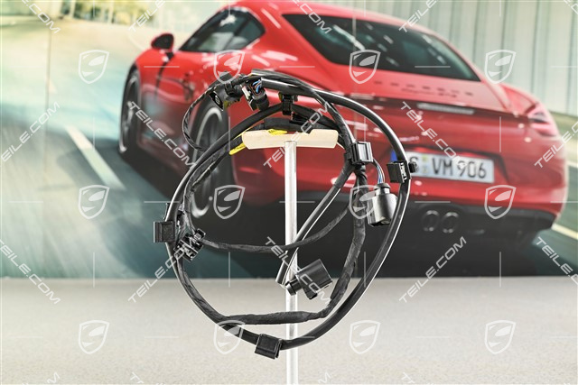 Kabelstrang, Stossfäanger hinten Spyder